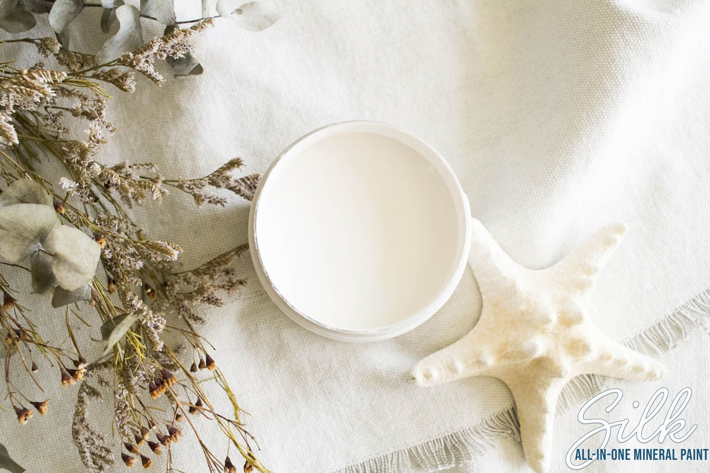 Salt Water Silk All-In-One Mineral Paint