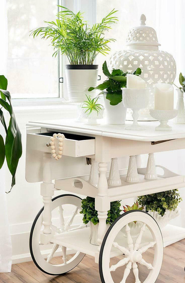 Salt Water Silk All-In-One Mineral Paint