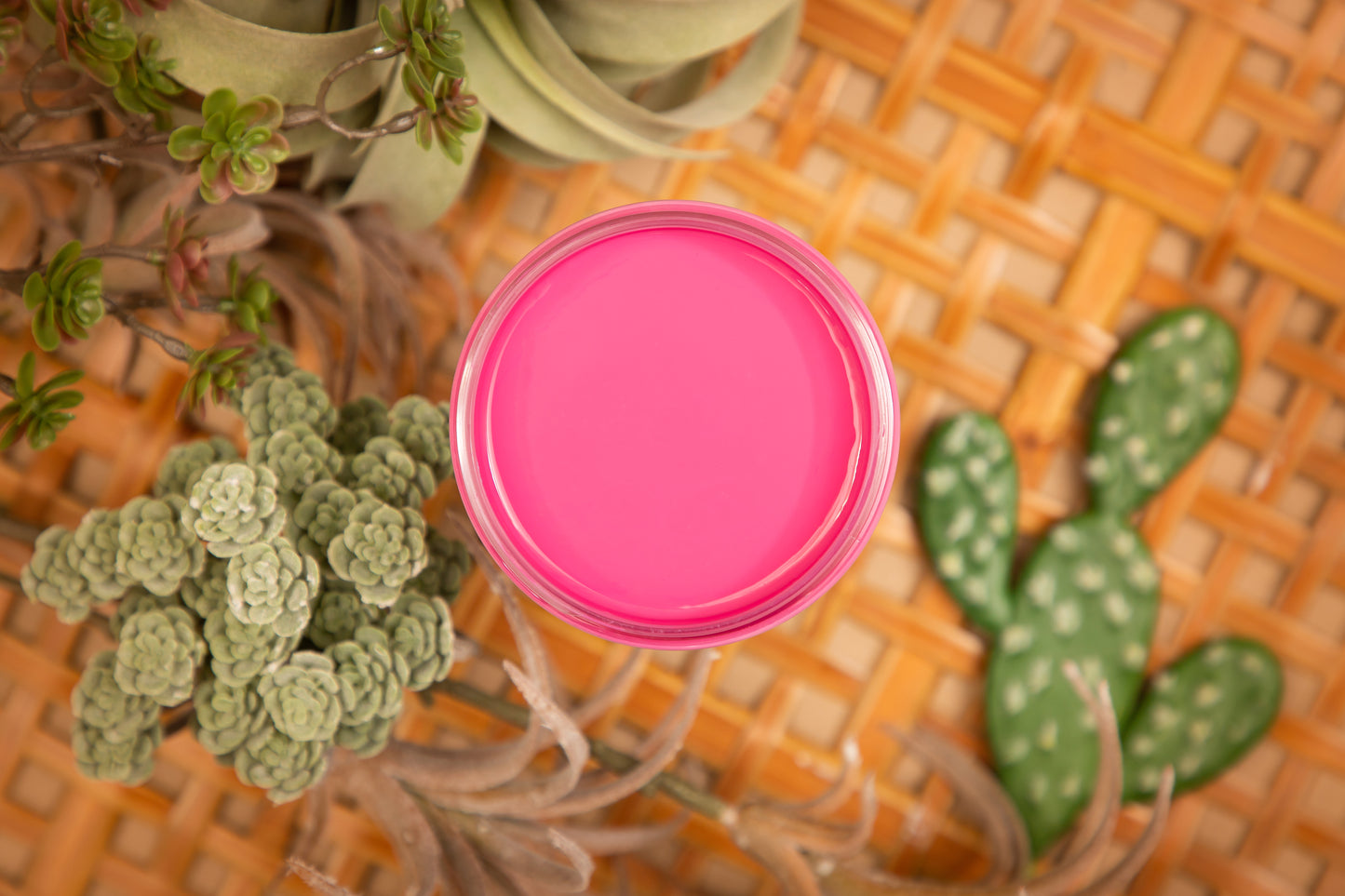 Prickly Pear Silk All-In-One Mineral Paint