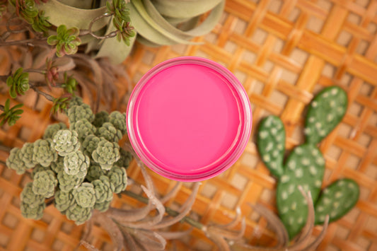 Prickly Pear Silk All-In-One Mineral Paint